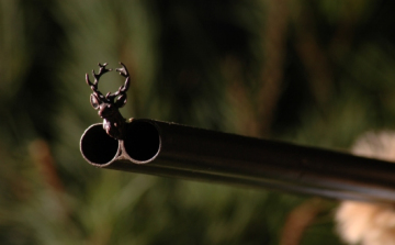 Vadászbaleset Bélmegyeren - Gondatlan veszélyeztetés miatt indult eljárás