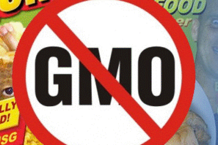 Magyarország továbbra is GMO-mentes marad
