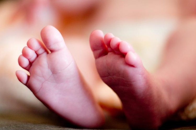 Csecsemőt tettek a fővárosi Madarász utcai kórház babamentő inkubátorába