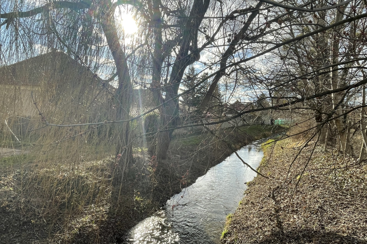 Változékony, időnként szeles, enyhe idő lesz a jövő héten