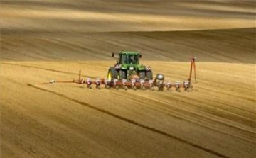 Mattot adtak a zsebszerződőknek