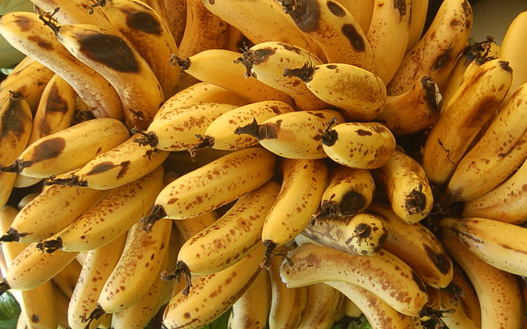 Szépséghibás élelmiszerek - kidobásra ítélve?